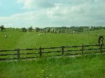 2006-0604-1515-56.jpg